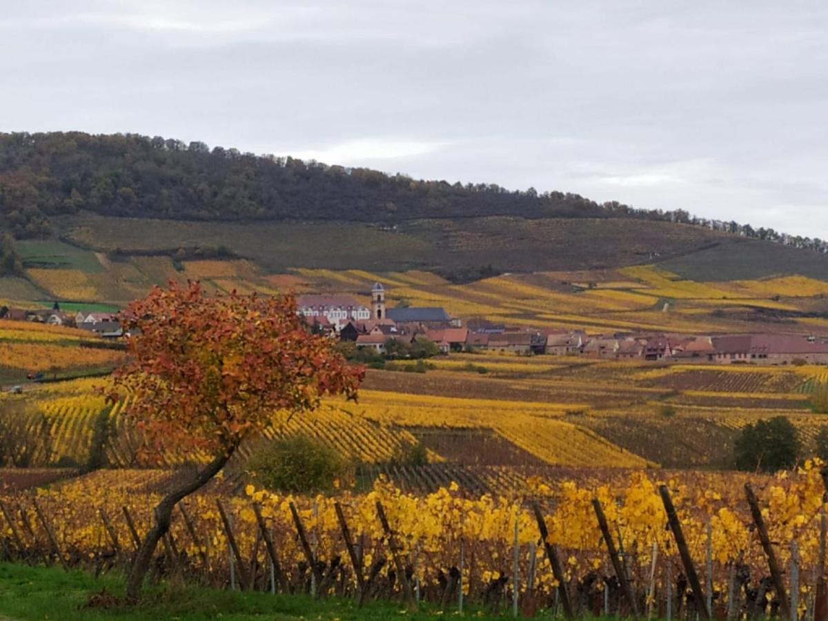 Le Bubele Au Coeur Du Centre Medieval Et Vignoble Ribeauvillé Eksteriør bilde